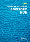 European Investment Advisory Hub Report 2020 - 