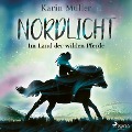 Cover-Bild zum Titel 'Nordlicht, Band 01: Im Land der wilden Pferde' von 'Karin Müller'