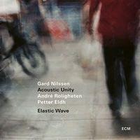 Elastic Wave - Gard Nilssen Acoustic Unity