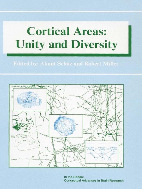 Cortical Areas - 