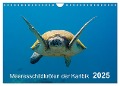 Meeresschildkröten der Karibik (Wandkalender 2025 DIN A4 quer), CALVENDO Monatskalender - Naturepics Yvonne & Tilo Kühnast