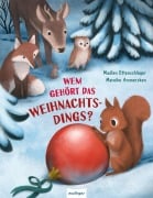 Cover-Bild zum Titel 'Wem gehört das Weihnachtsdings?' von 'Madlen Ottenschläger'