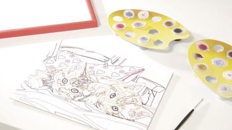 InsideView 6