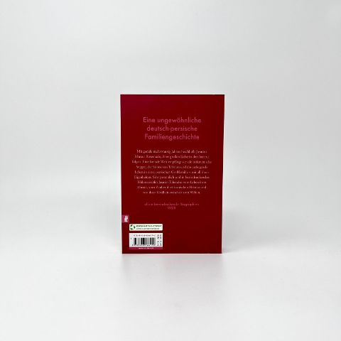 InsideView 4
