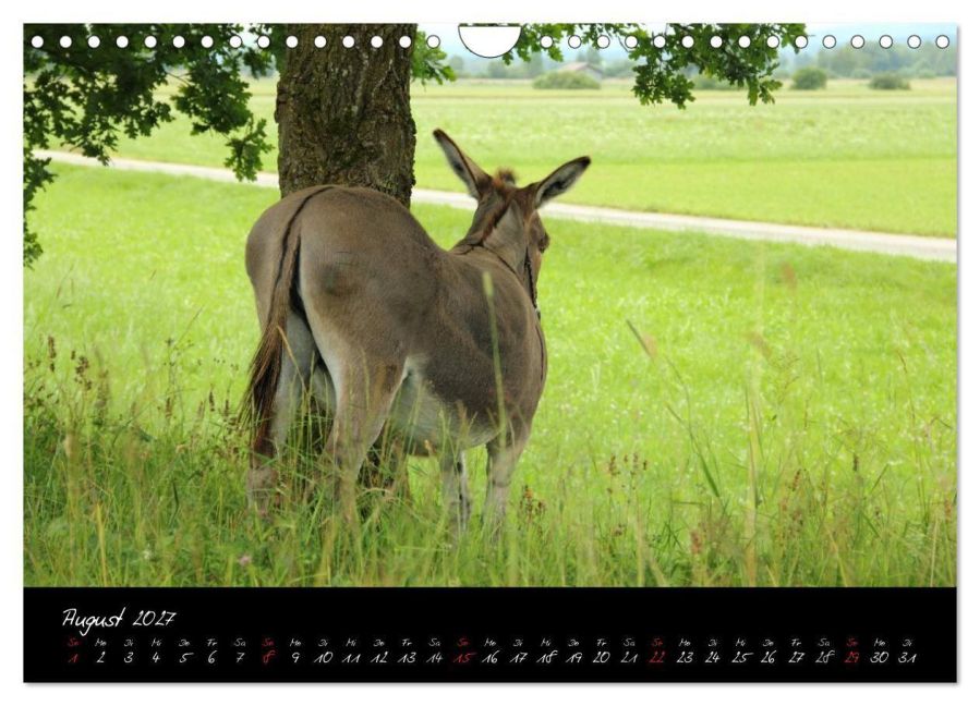 InsideView 13