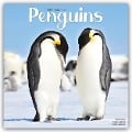Penguins - Pinguine 2025 - 16-Monatskalender - Avonside Publishing Ltd