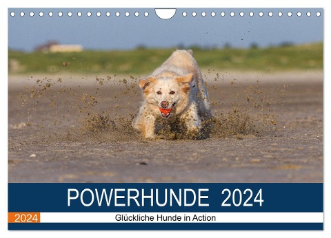 POWERHUNDE 2024 (Wandkalender 2024 DIN A4 quer), CALVENDO Monatskalender - Annett Mirsberger