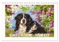 Berner Sennenhunde - Träumereien (Tischkalender 2024 DIN A5 quer), CALVENDO Monatskalender - Sigrid Starick