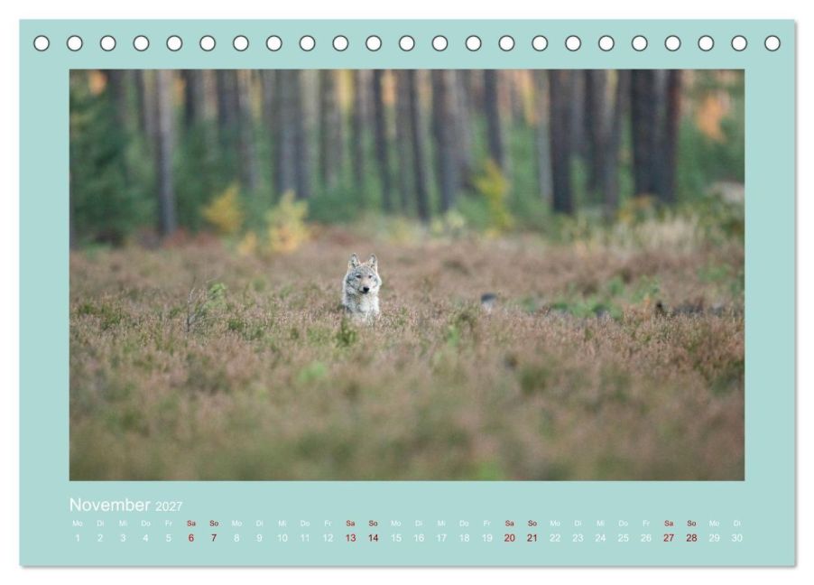 InsideView 3