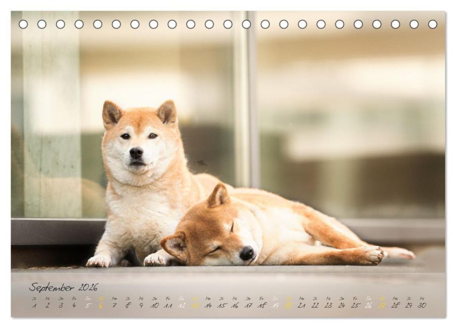 InsideView 14
