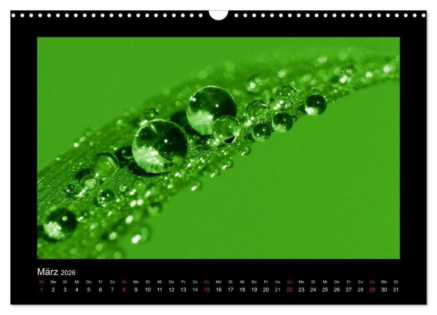 InsideView 8