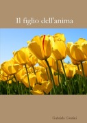 Cover-Bild zum Titel 'Il figlio dell'anima' von 'Gabriela Contini'