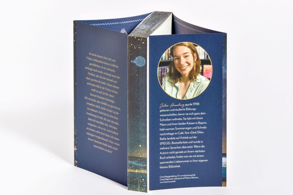 InsideView 3
