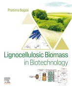 Cover-Bild zum Titel 'Lignocellulosic Biomass in Biotechnology' von 'Pratima Bajpai'