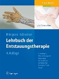 Cover-Bild zum Titel 'Lehrbuch der Entstauungstherapie' von 'Günther Bringezu, Otto Schreiner'