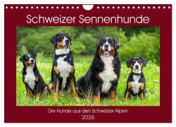 Cover-Bild zum Titel 'Schweizer Sennenhunde - die Hunde aus den Schweizer Alpen (Wandkalender 2026 DIN A4 quer), CALVENDO Monatskalender' von 'Sigrid Starick'