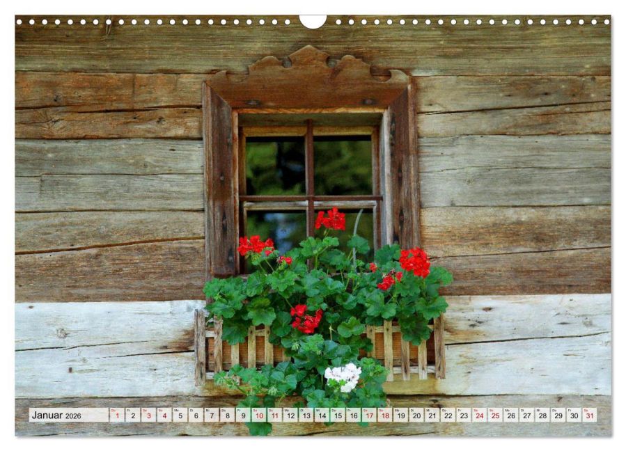 InsideView 6