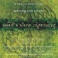 Cover-Bild zum Titel 'The Soul's Slow Ripening' von 'Christine Valters Paintner'