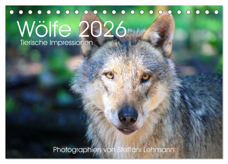 Wölfe 2026. Tierische Impressionen (Tischkalender 2026 DIN A5 quer), CALVENDO Monatskalender - Steffani Lehmann