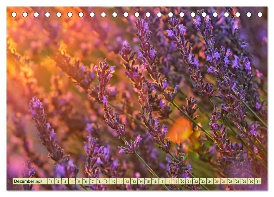 InsideView 4