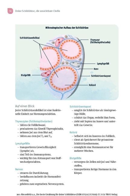 InsideView 10