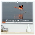 Flamingos am Chiemsee (hochwertiger Premium Wandkalender 2024 DIN A2 quer), Kunstdruck in Hochglanz - J. R. Bogner