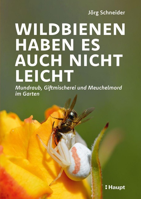 Wildbienen haben es auch nicht leicht - Jörg Schneider