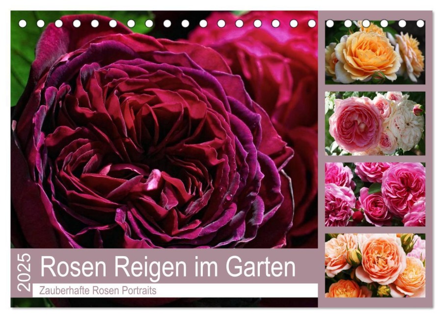 Rosen Reigen im Garten (Tischkalender 2025 DIN A5 quer), CALVENDO Monatskalender - Martina Cross