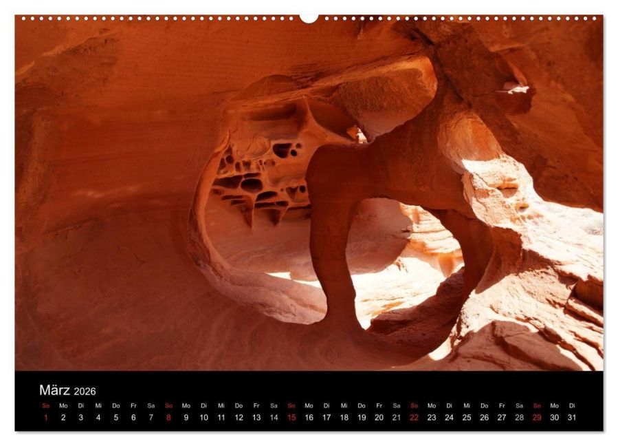 InsideView 8