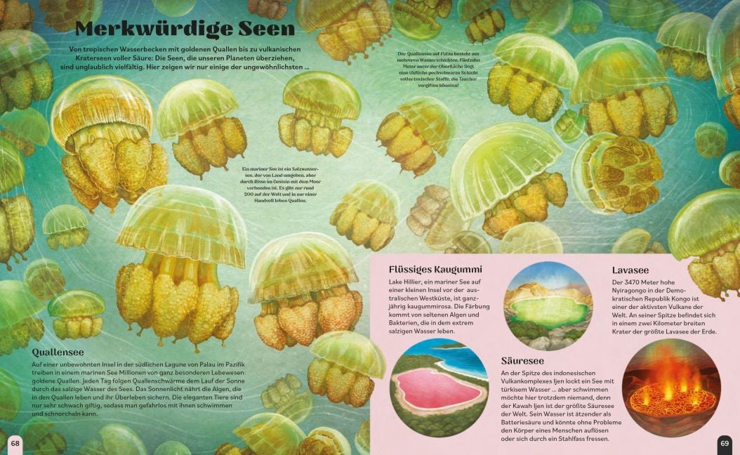 InsideView 4