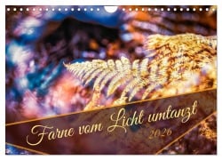 Cover-Bild zum Titel 'Farne vom Licht umtanzt (Wandkalender 2026 DIN A4 quer), CALVENDO Monatskalender' von 'Nicc Koch'