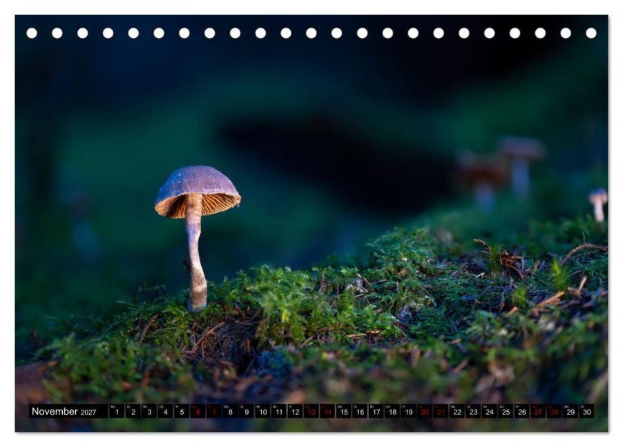InsideView 3