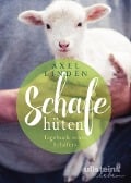 Cover-Bild zum Titel 'Schafe hüten' von 'Axel Lindén'