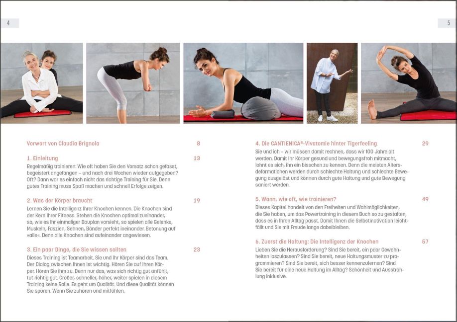 InsideView 8