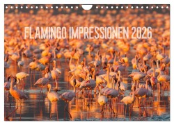 Cover-Bild zum Titel 'Flamingo Impressionen 2026 (Wandkalender 2026 DIN A4 quer), CALVENDO Monatskalender' von 'Ingo Gerlach'