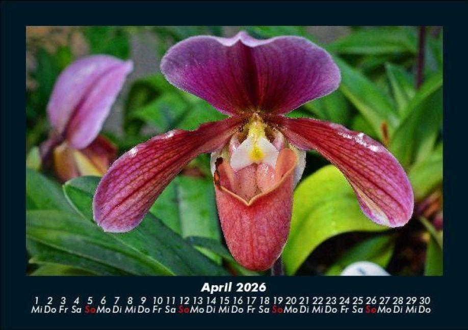 InsideView 8