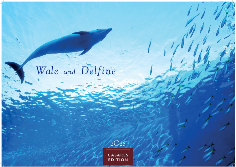 Wale und Delfine Kalender 2026 - Wandkalender | Fotokalender Tierkalender 35x50cm Grosses Format - Hochwertige Fotografien von Walen und Delfinen, die jeden Monat begeistern. - 