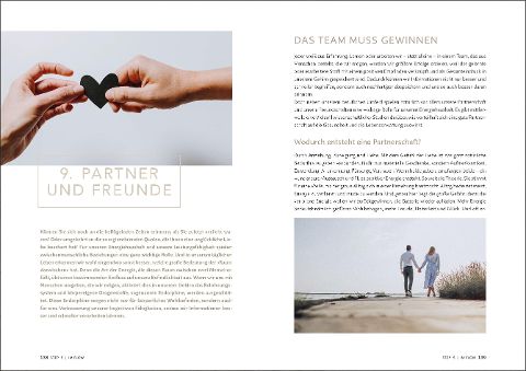 InsideView 4