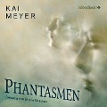Cover-Bild zum Titel 'Phantasmen' von 'Kai Meyer'