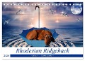 Rhodesian Ridgeback - kreativ in Szene gesetzt - (Tischkalender 2024 DIN A5 quer), CALVENDO Monatskalender - Dagmar Behrens