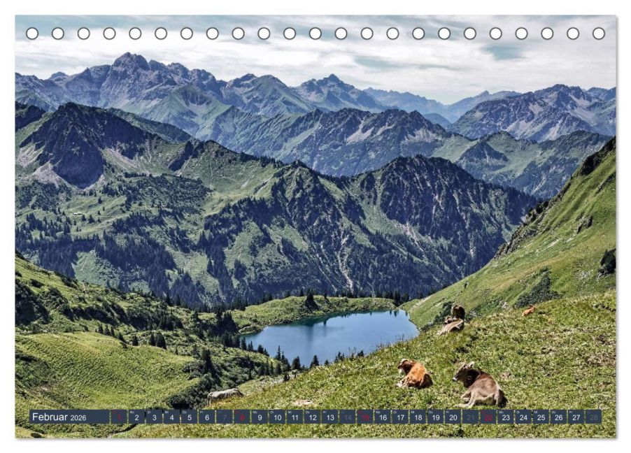 InsideView 7
