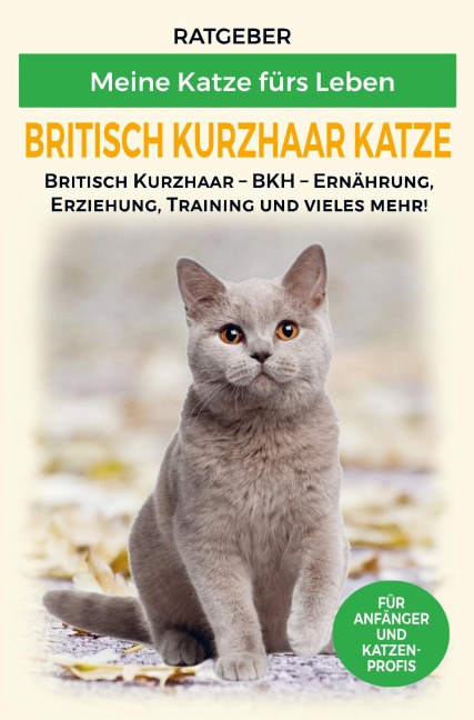 Britisch Kurzhaar Katze - Ratgeber Meine Katze fürs Leben