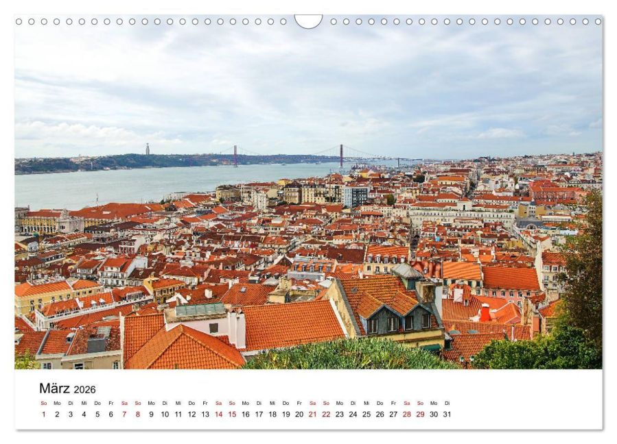 InsideView 8