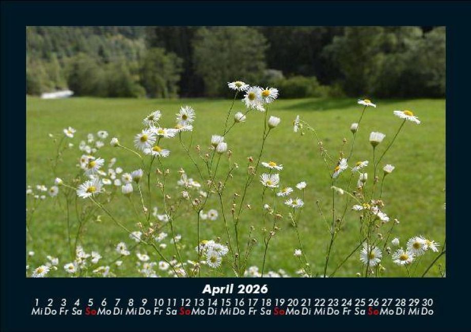 InsideView 8