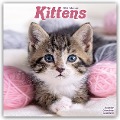 Kittens - Kätzchen 2025 - 16-Monatskalender - Avonside Publishing Ltd