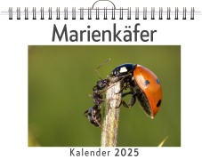 Cover-Bild zum Titel 'Marienkäfer - (Wandkalender 2025, Kalender DIN A4 quer, Monatskalender im Querformat mit Kalendarium, das perfekte Geschenk)' von 'Sofia Schmitz'