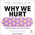 Why We Hurt - Jr