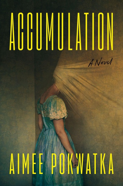 Accumulation - Aimee Pokwatka