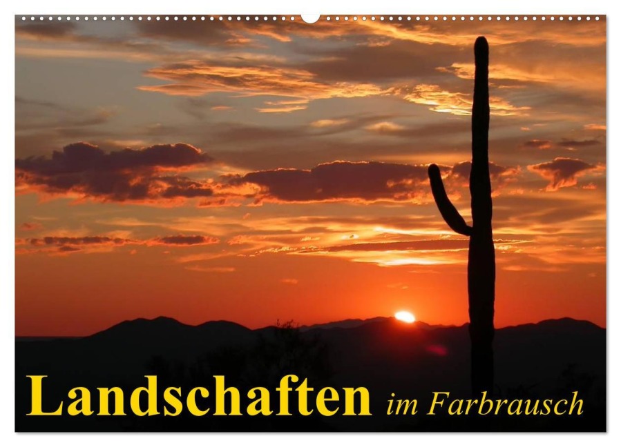 Landschaften im Farbrausch (Wandkalender 2026 DIN A2 quer), CALVENDO Monatskalender - Elisabeth Stanzer