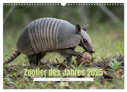Cover-Bild zum Titel 'Zootier des Jahres 2025 - Gürteltier (Wandkalender 2026 DIN A3 quer), CALVENDO Monatskalender' von 'Stacey Herz'